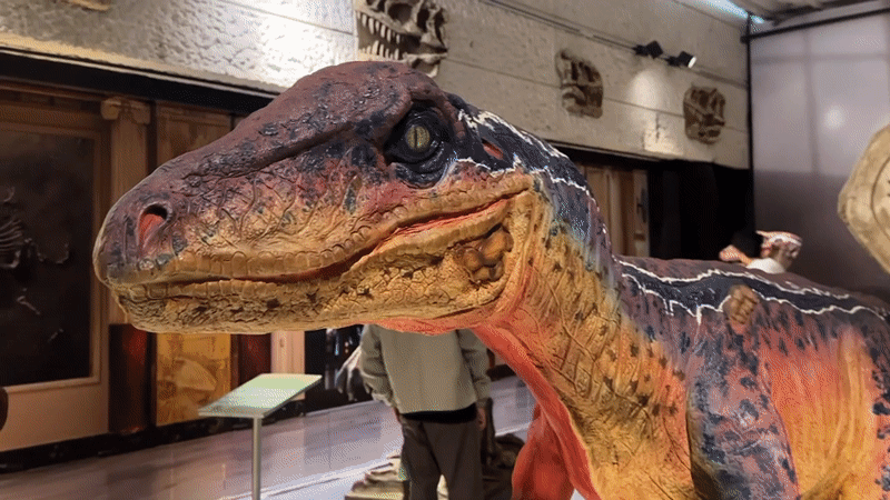 Museum tour through dinosaur and brewery exhibits in Toluca
