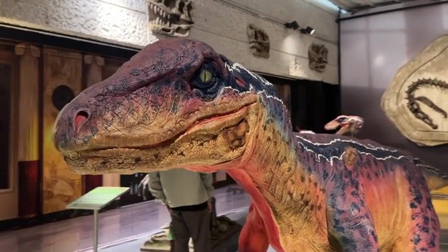 Museum tour through dinosaur and brewery exhibits in Toluca