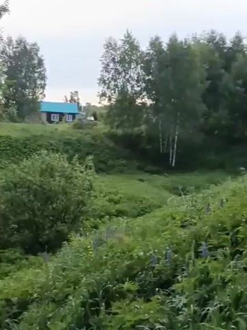 The video shows a rural landscape with a house in the background. The house is small, with a blue roof. The foreground is filled with lush green vegetation, including trees and bushes. The camera pans slightly, showing the surrounding environment. The sky is overcast, and the overall scene is peaceful and quiet.