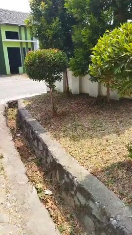The video pans to the left, showing a dry, concrete drainage ditch with a stone border. Beyond the ditch is a patch of dry grass and a small, round, manicured shrub. In the background, a two-story building with green and white accents and dark windows is visible. To the right of the building are several green trees. The ground appears to be a paved driveway or road. The overall scene depicts an outdoor area adjacent to a building.
