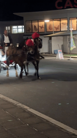 Evening carnival atmosphere documented in Nesebar, Bulgaria tourist district