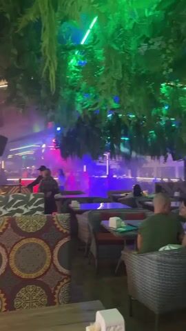 The video shows the interior of a dimly lit restaurant or club. The space is decorated with abundant artificial greenery hanging from the ceiling, illuminated by vibrant green and blue lights. In the foreground, there are tables with plush seating, some occupied by patrons. The background features a dance floor or central area where a group of people are visible, illuminated by colorful stage lighting, including purple and yellow spotlights, and haze. Some individuals are dancing, while others appear to be conversing. The overall atmosphere suggests a lively evening setting.