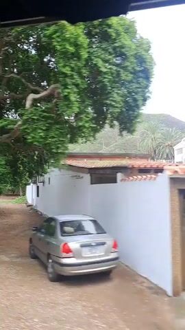 The video shows a passing view of trees and buildings, likely from a moving vehicle. There are several trees with green foliage and visible branches. Some of the trees are large and appear to be mature. In the background, there are some buildings, including structures made of brick and what appears to be a white building. There is also a sign visible on one of the buildings that reads "La Cachapa." The environment appears to be outdoors, possibly in a rural or semi-rural area, with a cloudy sky visible. There are no people clearly visible in the video. The movement of the camera creates a blur effect, indicating motion.