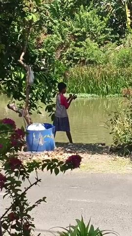 The video begins with a close-up of laundry hanging on a line, with green foliage and a pink flower in the foreground. The camera then pans to a boy standing by the edge of a body of water, holding what appears to be a fishing rod. He is wearing a t-shirt and shorts. Behind him, there is a blue plastic barrel and dense vegetation. The scene appears to be outdoors in a natural setting, possibly a rural area, with trees and a road visible. The water seems calm, reflecting the surrounding greenery.