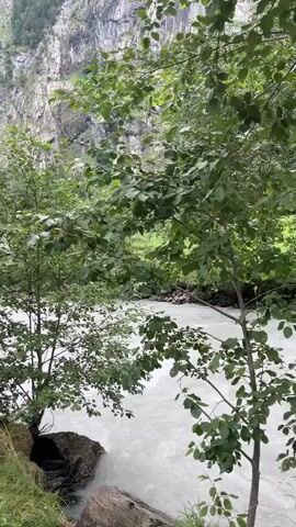 This is a short video of a fast-flowing, milky white river in a mountainous region. The camera is moving from left to right, with the river on the right side of the frame. Dense green trees with dark green leaves are in the foreground on both sides of the river. Behind the trees, a steep, rocky mountain face is visible, with patches of green vegetation clinging to its slopes. The sky is overcast. The overall impression is one of a wild, natural landscape.