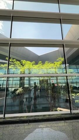The video presents a static shot from the interior of a modern building, looking out through large, multi-pane glass windows. The windows are framed in white and offer a view into an outdoor courtyard or landscaped area. Several small trees with bright green leaves are prominently featured in this outdoor space, surrounded by light-colored, angular architectural structures. The sky above is clear and blue, indicating bright daylight. Faint reflections on the glass hint at the interior of the building, and silhouettes of a few people can be seen moving or standing in the outdoor area. The floor in the immediate foreground, inside the building, is a light-colored, speckled material. The scene conveys a sense of spaciousness and natural light within a contemporary architectural setting. No text is visible.