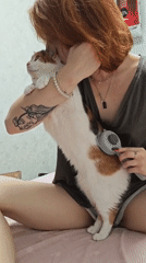Calico cat grooming session, start to finish
