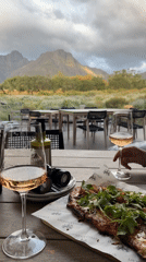 Wine tasting afternoon at Stellenzicht winery in Stellenbosch documented