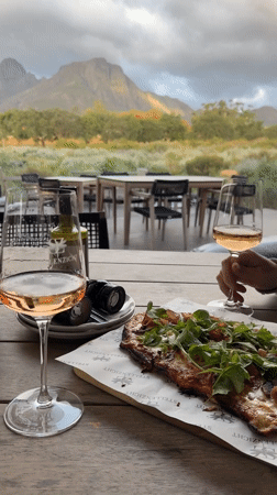 Wine tasting afternoon at Stellenzicht winery in Stellenbosch documented