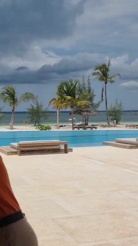 The video shows a luxurious beachfront resort with a large swimming pool. The pool is bordered by lounge chairs, benches, and thatched umbrellas. Palm trees are scattered around the pool area and along the beach, with the ocean visible in the background. The sky is overcast with dark clouds. A life preserver hangs on a palm tree near some lounge chairs.