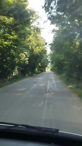 The video shows a point-of-view shot from inside a vehicle traveling down a paved road that is lined with dense green trees on both sides. The sun is shining through the trees, casting dappled shadows on the road. The road appears to be in a rural or wooded area. The perspective suggests the vehicle is moving forward at a steady pace. There are no other vehicles or people visible in the frame. The overall impression is one of a scenic drive through a natural environment.