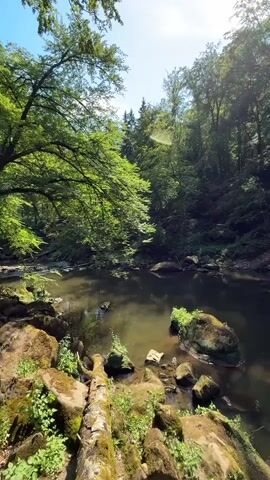 The media file captures a serene natural scene along a riverbank in Irrel, Germany. The setting is a lush, green forest with the river flowing gently through it. Large, moss-covered rocks are scattered along the foreground and in the shallow parts of the river, some with small plants growing on them. A fallen tree trunk lies on the rocks in the foreground, its branches reaching into the water. The river itself appears calm, with reflections of the surrounding trees and the bright sky.

In the background, the riverbank rises steeply, revealing layers of soil and rock, evidence of erosion. Dense trees with vibrant green foliage cover the slopes, creating a sense of deep woodland. The sunlight streams through the canopy, casting dappled light on the water and the forest floor. There is a distinct lens flare visible in the sky, indicating a bright, sunny day. The overall mood is peaceful and tranquil, evoking a sense of untouched nature. The time of day appears to be morning or early afternoon, given the angle and intensity of the sunlight. There are no people or discernible man-made objects other than the natural debris of fallen branches in the river. The location cues, such as the dense forest and the rocky riverbank, are consistent with the natural landscapes found in regions like Irrel, Germany. No text is visible in the media file.