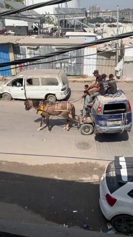 The video shows a horse-drawn cart with five people on it moving down a street. One person is driving the cart, and four others are seated on top of the cart. The cart is attached to a horse, which is walking. In the background, there are several buildings, including a white van and a blue car. There are also power lines running across the sky. The scene appears to be in a developing country or a war-torn area, given the condition of the buildings and the makeshift nature of the cart.