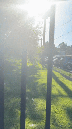 Dark Cadillac observed parked in Morton Grove residential area