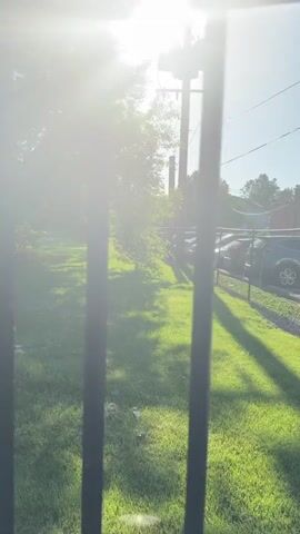 The camera is focused on a grassy area viewed through a dark-colored metal fence. Bright sunlight filters through trees, casting shadows on the lawn. Cars are parked along a chain-link fence in the background. The sky is blue.
