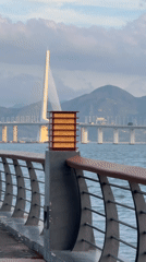 Cable-stayed bridge documented from multiple angles in Nanshan District