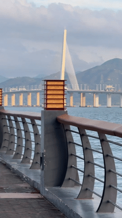 Cable-stayed bridge documented from multiple angles in Nanshan District