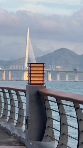 Cable-stayed bridge documented from multiple angles in Nanshan District