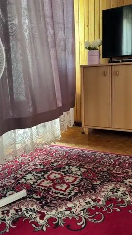 A video shows a partially opened dark brown curtain, revealing lace curtains behind it. The floor is covered by a red rug with a floral pattern. A wooden cabinet with two doors stands against a wood-paneled wall, and a television is on top of it. A pink box with white flowers is on the cabinet. A white fan is partially visible on the left side of the frame.