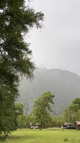 A vertical video displays a natural landscape with trees in the foreground and a misty mountain in the background. A patch of green grass is visible, with several small wooden structures, possibly cabins, scattered throughout the scene. A black pickup truck is parked on the right side of the frame. The sky is overcast, suggesting rainy or foggy weather.
