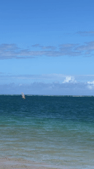 Water sports activity observed off Denpasar coast