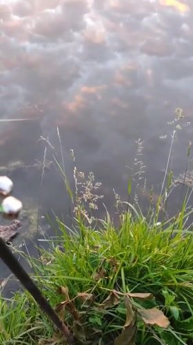 Sunrise light reflects off water near Khroly, Ukraine