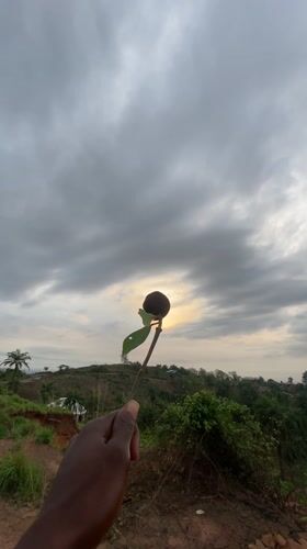 Morning nature documentation captured in Achara, Nigeria