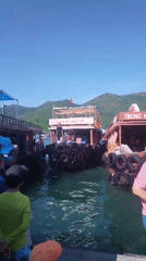Morning ferry and tour boat activity at Nha Trang harbor
