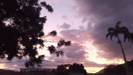 Sunset observed over El Limón, Venezuela with palm trees