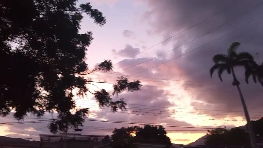 Sunset observed over El Limón, Venezuela with palm trees