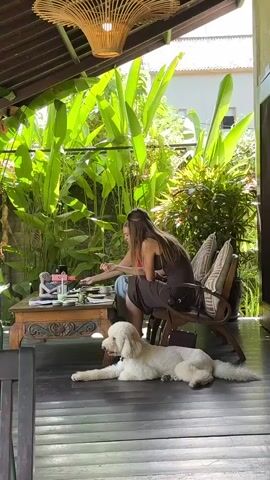 The video shows two women and a white dog on a wooden deck under a thatched roof. Large green leaves are behind them. The woman on the right, wearing a brown dress, is seated in a chair and holding a fork. She is looking down at a table in front of her. To her left, another woman, wearing a pink top, is also seated and reaching for something on the table. The white dog is lying on the deck in front of the table, facing left. The table has various items on it, including a phone and plates. Sunlight filters through the leaves, creating dappled shadows.