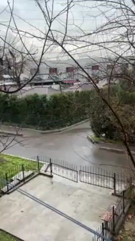 The video shows an outdoor scene during a rainy day. The view is from an elevated position, possibly a window, overlooking a concrete patio enclosed by a black metal fence. Beyond the patio is a wet road branching into two paths. Lush green hedges line the sides of the road, partially obscuring a large, white industrial building in the background with red accents. Bare tree branches dominate the foreground, framing the scene and suggesting it's a late fall or winter season. The sky is overcast and gray. No people are visible in the shot.