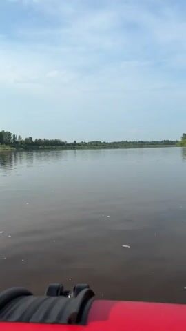 The video shows the bow of a red inflatable boat moving forward on a wide, calm river. The water is murky brown and reflects the blue sky with scattered white clouds. The riverbanks are lined with green trees and vegetation, appearing lush and distant. The sun appears to be shining, casting shadows and highlights on the water. The overall scene is peaceful and serene, suggesting a leisurely boat ride on a warm day.