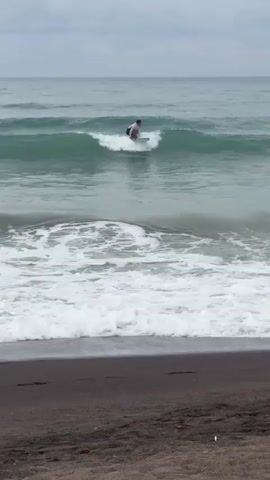 A person is paddleboarding on a wave in the ocean. The water is green and there are white waves. The sky is cloudy and gray. The beach in the foreground is dark sand.