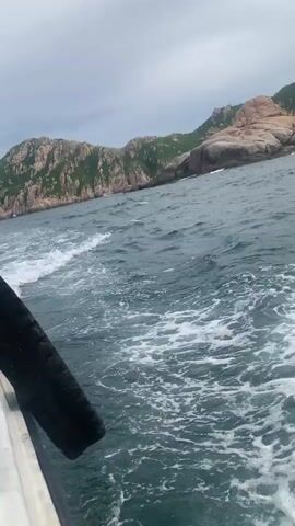 The video shows a view from a boat moving through choppy water, with a rocky, vegetated coastline in the background under an overcast sky. A dark, possibly rubber, object protrudes from the bottom left of the frame, which appears to be part of the boat's railing or fender. White foam from the boat's wake is visible in the foreground and mid-ground. The coastline features rugged rock formations and green vegetation. The water is a deep blue-green.