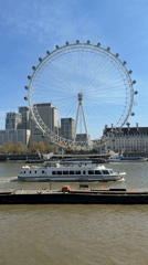 Clear morning views of Thames, Big Ben captured by witness