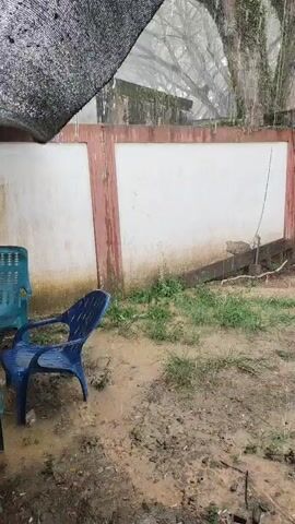 The video captures a courtyard area during a rainstorm. A white wall with a pink trim runs horizontally across the middle ground. In the foreground, the ground is muddy with patches of grass. Two plastic chairs, one blue and one teal, are visible. A large tree with many branches is seen behind the wall, with rain falling through its leaves. A black mesh fabric is draped over the upper left corner of the frame, partially obscuring the view of the sky and tree branches. The overall atmosphere is damp and wet due to the ongoing rainfall.