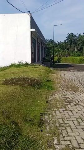 A video displays an outdoor scene with a white building on the left. To the right of the building is a paved walkway made of interlocking bricks. Beyond the walkway, there is a dirt path leading to the right, with a street light visible in the distance. Lush green grass covers the foreground and slopes upwards towards the building. In the background, there are palm trees and other vegetation, suggesting a tropical environment. The sky is clear and blue. The video appears to be shot from a moving perspective, possibly a vehicle, as indicated by the slight camera shake and the panning motion.