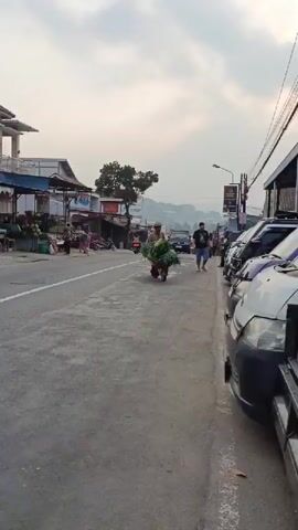 A person wearing a hat and a brown cloak rides a modified cart with a single wheel. The cart is loaded with a large quantity of green vegetables. The person is on a paved road, with other vehicles, including motorcycles and cars, in the background. There are buildings and trees along the side of the road, and hills can be seen in the distance. The scene appears to be an outdoor marketplace or a roadside environment.