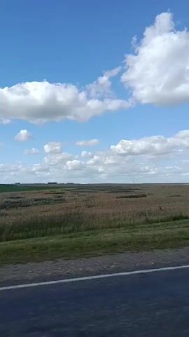 The video shows a view from inside a vehicle moving along a road. On the left side of the frame is a vast, flat field covered in dry, tan vegetation. The field extends to the horizon, where a few distant structures and power lines are visible. The sky is a bright blue with scattered white, puffy clouds. On the right side of the frame, trees appear and disappear as the vehicle moves. Initially, there are clusters of trees, then a single tall tree with a thick trunk. Later, a dense line of trees lines the edge of the field. The road in the foreground is paved and gray, with a white line visible on its left edge. The movement of the vehicle is evident from the slightly blurred scenery. The lighting suggests it is daytime, likely a sunny or partly cloudy day. No people are visible in the video.