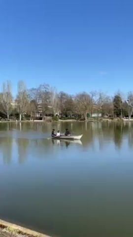 Three people are in a rowboat on a calm lake under a clear blue sky. The person in the back of the boat is rowing. The other two people are sitting in the middle of the boat. The lake is surrounded by trees and a park.