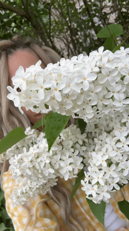 Woman photographed with blooming lilacs in rural Russia