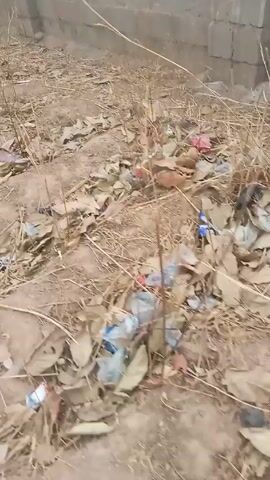 The video shows a patch of ground covered in dry leaves, twigs, and scattered litter, including bits of plastic. The ground is dirt. In the background, there is a plain concrete wall, possibly of a building. The camera moves slightly, showing different parts of the ground. The overall impression is one of an unkempt outdoor area. Loud voices can be heard.