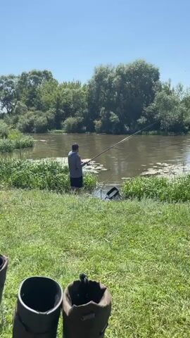 A person is fishing in a river. The person is standing in the water with fishing rods. There are two fishing rods in the water and one in the person's hand. There is a bag on the ground next to the person. The river is surrounded by trees and grass. The sky is blue and there are no clouds.