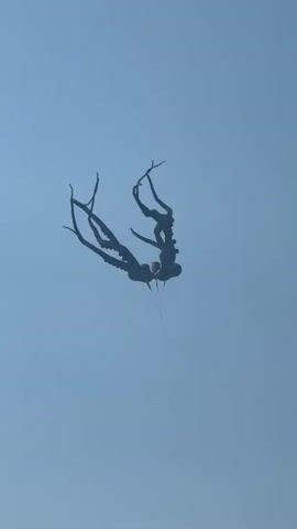 A kite shaped like an octopus with tentacles is flying in a clear blue sky. The kite is dark in color and appears to be in motion. Another smaller, reddish-purple kite is visible in the distance. The camera is pointed upwards at the kites.