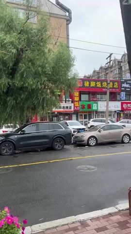 The video pans across a street scene on an overcast day. On the left, several cars are parked along the curb, including a dark SUV and a silver sedan. Behind the cars, buildings line the street, with shopfronts displaying signs in Chinese. Trees and utility poles are visible, along with overhead wires. The sidewalk is paved with red bricks and features planter boxes with pink and red flowers.

As the video continues, the camera moves further down the sidewalk, revealing more of the street and buildings. Several people are walking on the sidewalk, and a few more cars are parked. A silver van with its rear doors open is visible, along with other vehicles. Further down the street, a large expanse of colorful flowers, primarily in shades of pink and red, is a prominent feature. The flowers are planted in neat rows, separated by white fencing. Buildings are visible in the background behind the flower beds. The sky remains overcast throughout the video.