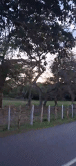 Evening drive through rural Vallecito countryside captured on video