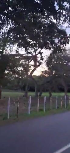 Evening drive through rural Vallecito countryside captured on video