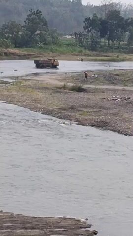 The video shows a wide, shallow river with a gravelly, sandy bank on the right side. In the middle of the river, a yellow dump truck is visible, partially submerged in the water. On the bank, near the truck, two figures are present. One is standing and appears to be working or observing, while the other is closer to the water's edge with several white objects around them. The background consists of trees and hills, suggesting a rural or semi-rural environment. The water is flowing, creating ripples and a slight sheen on its surface. The overall lighting indicates it is daytime, possibly overcast.