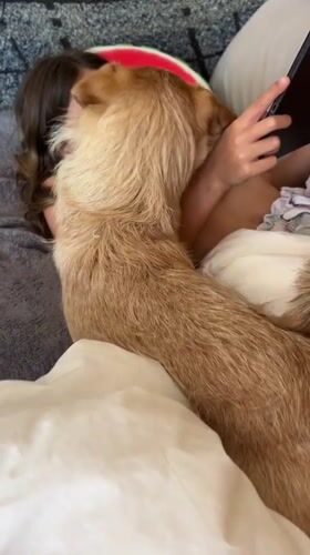 Woman recovers in bed with dog companion in Salou